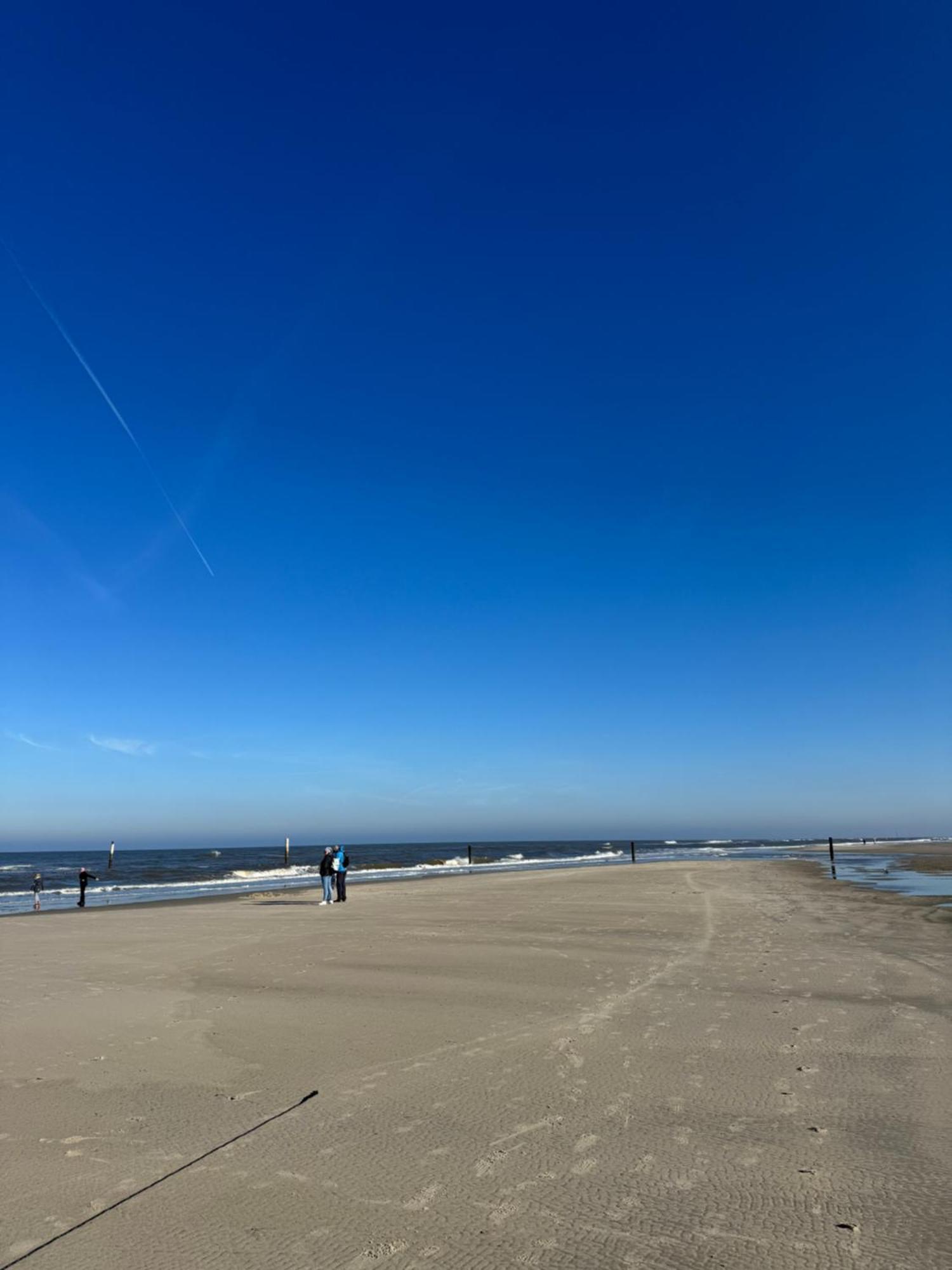 Duenenrose Am Nordstrand Norderney Zewnętrze zdjęcie