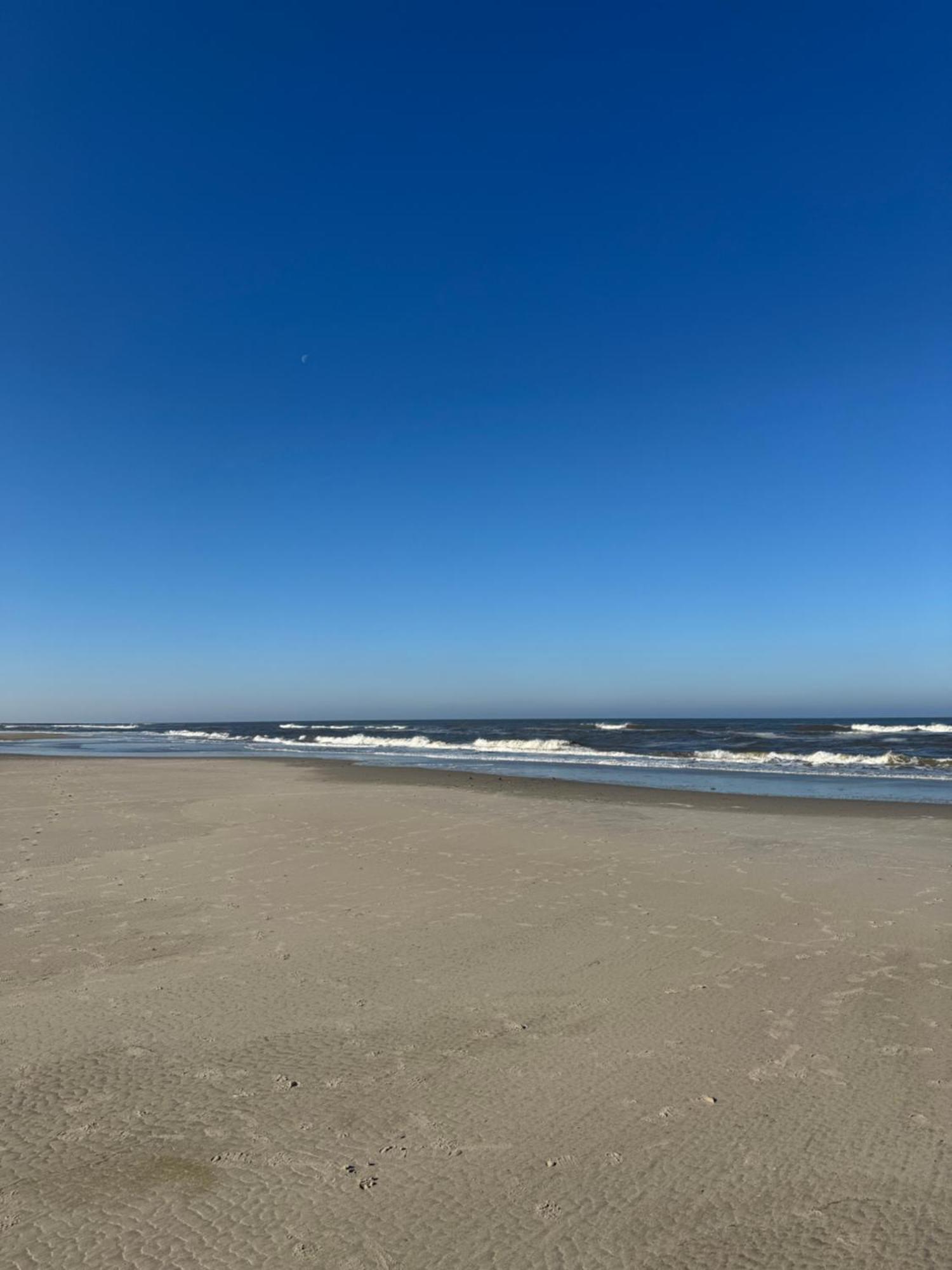 Duenenrose Am Nordstrand Norderney Zewnętrze zdjęcie